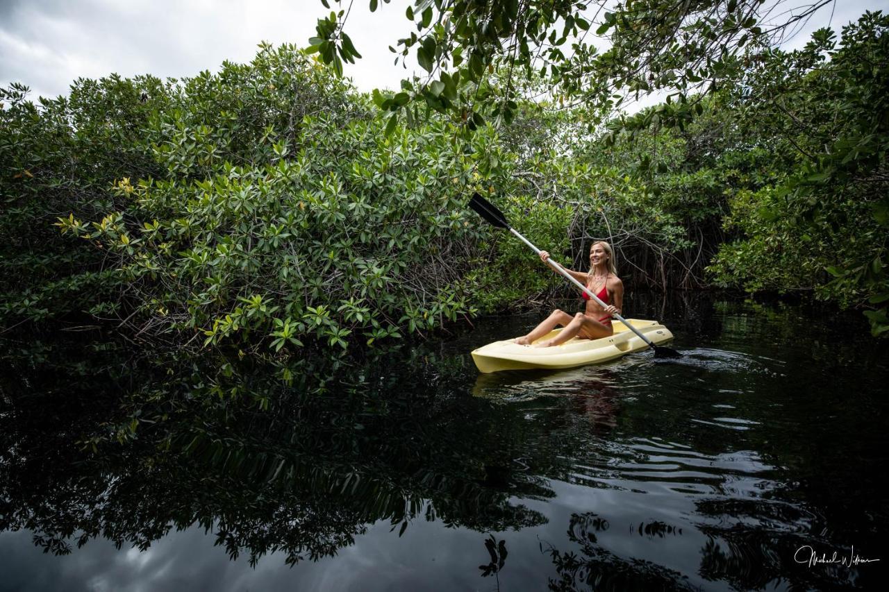 Manglex Eco Hotel Tulum Zewnętrze zdjęcie