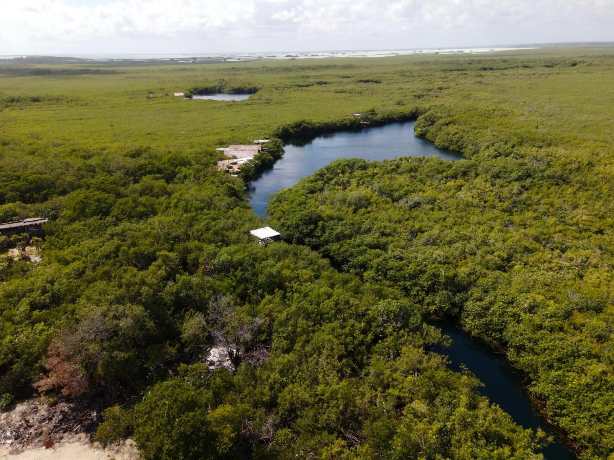 Manglex Eco Hotel Tulum Zewnętrze zdjęcie