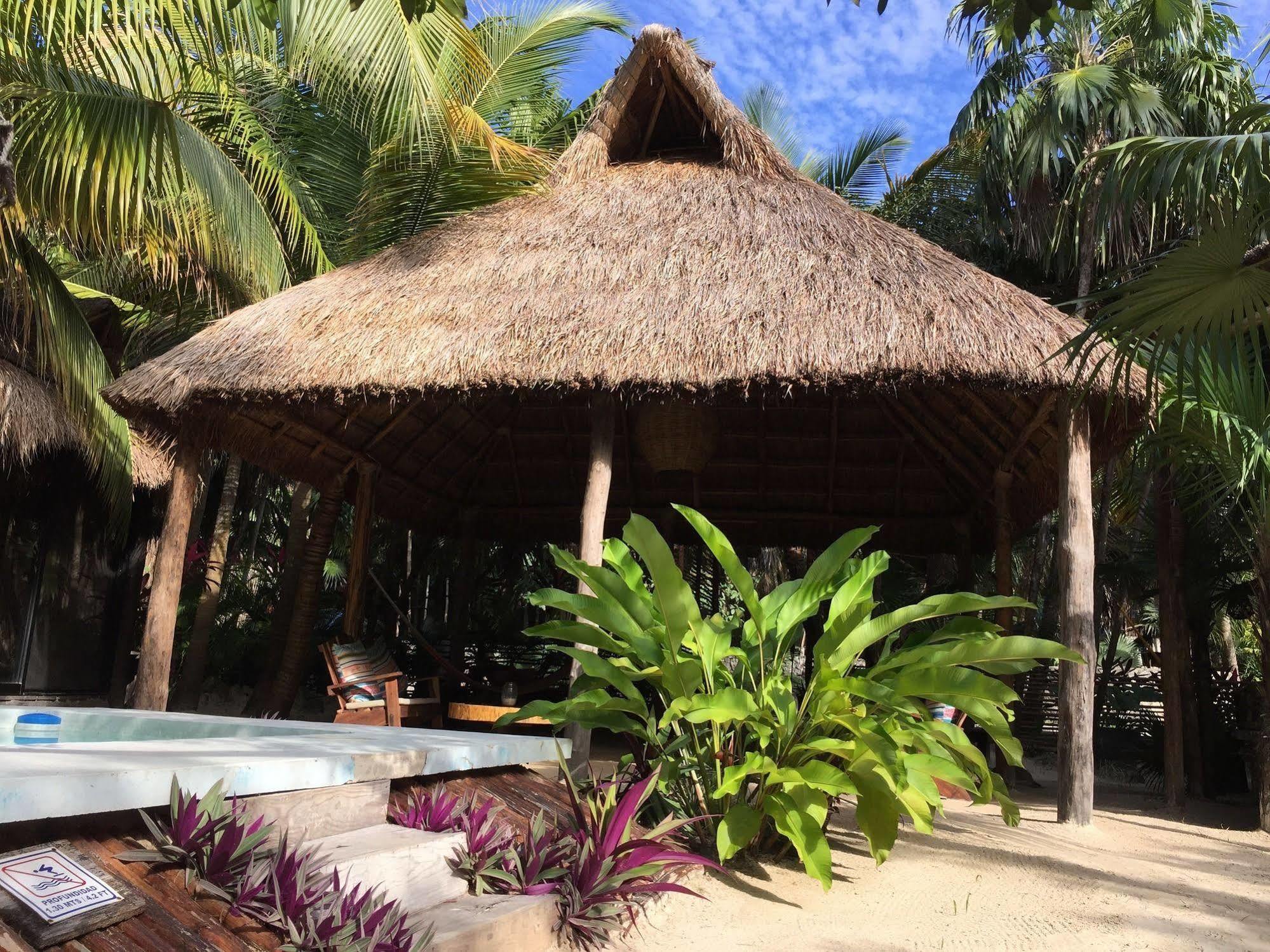 Manglex Eco Hotel Tulum Zewnętrze zdjęcie