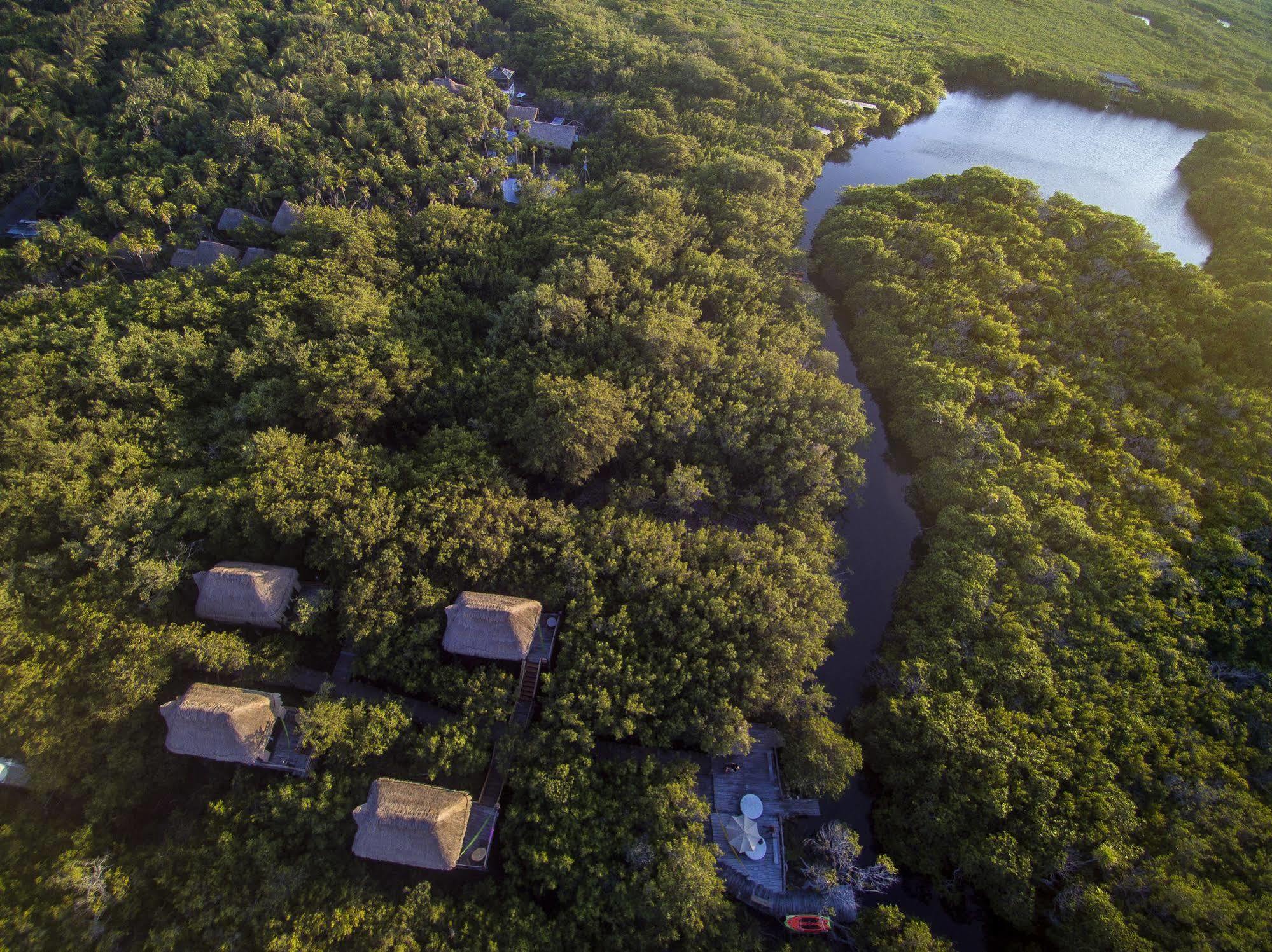 Manglex Eco Hotel Tulum Zewnętrze zdjęcie