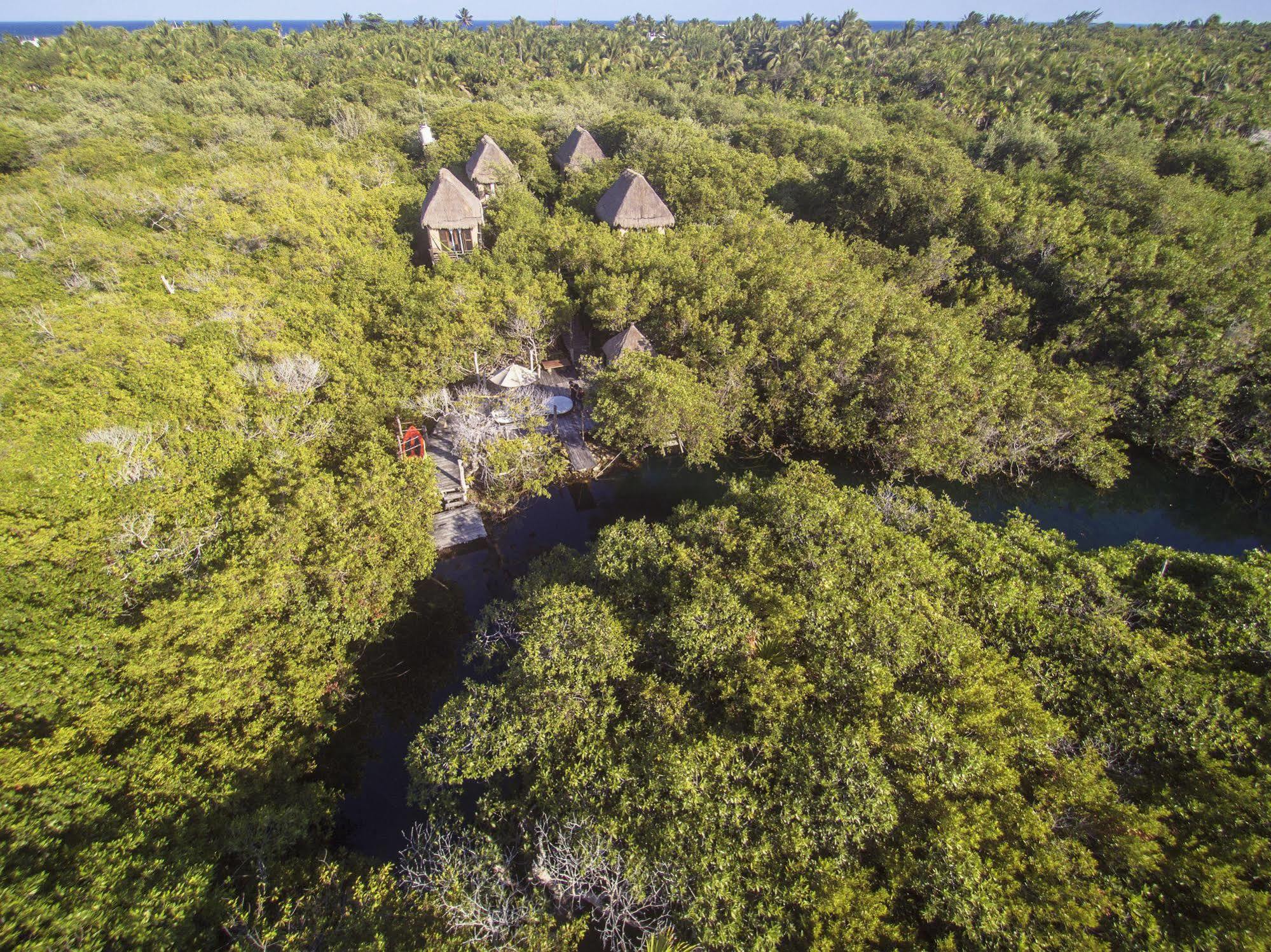 Manglex Eco Hotel Tulum Zewnętrze zdjęcie