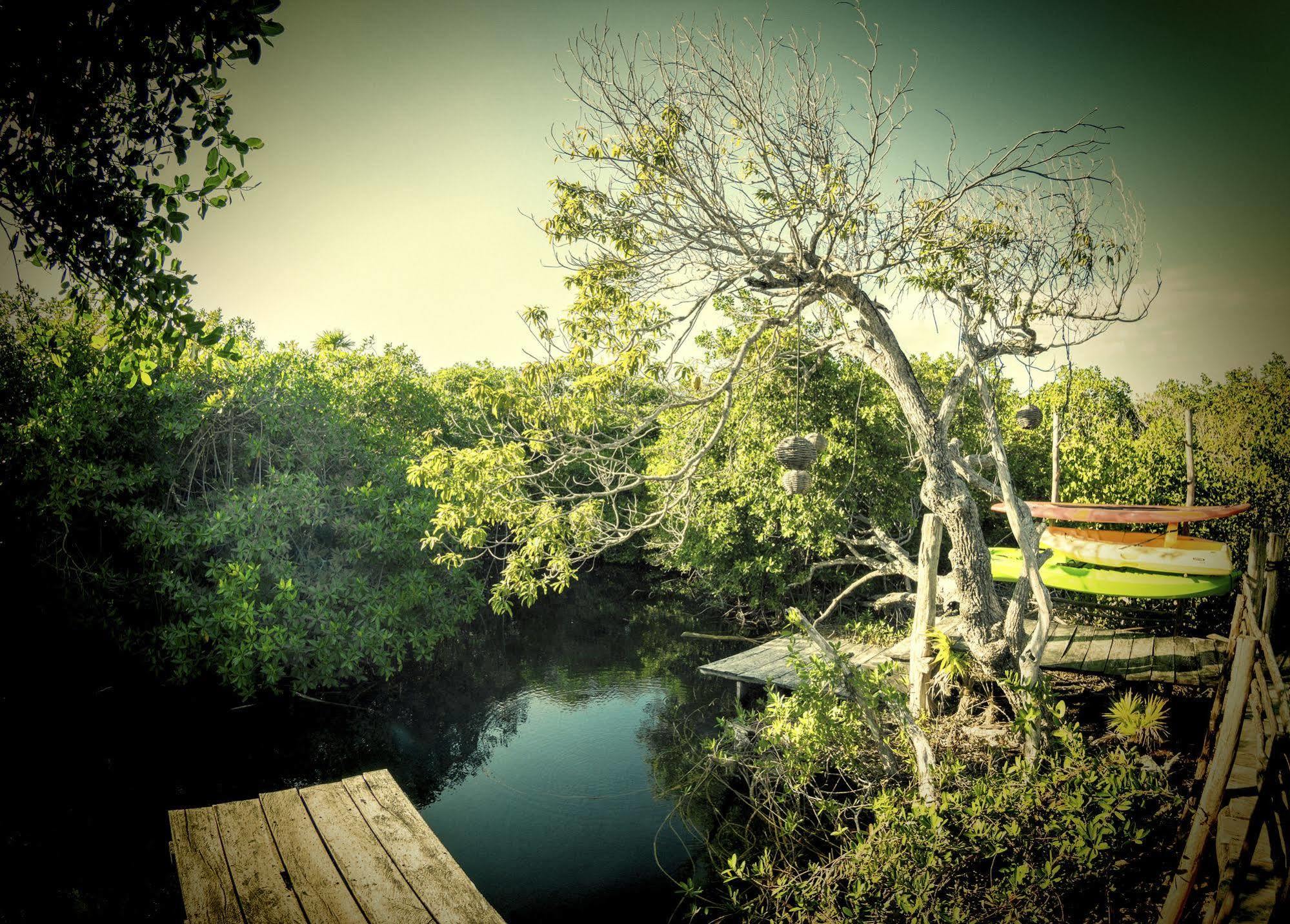 Manglex Eco Hotel Tulum Zewnętrze zdjęcie