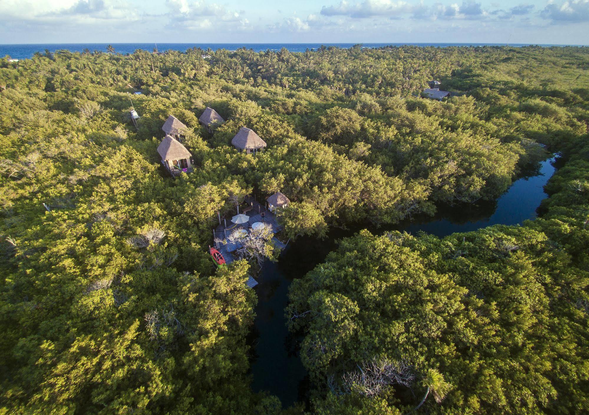 Manglex Eco Hotel Tulum Zewnętrze zdjęcie