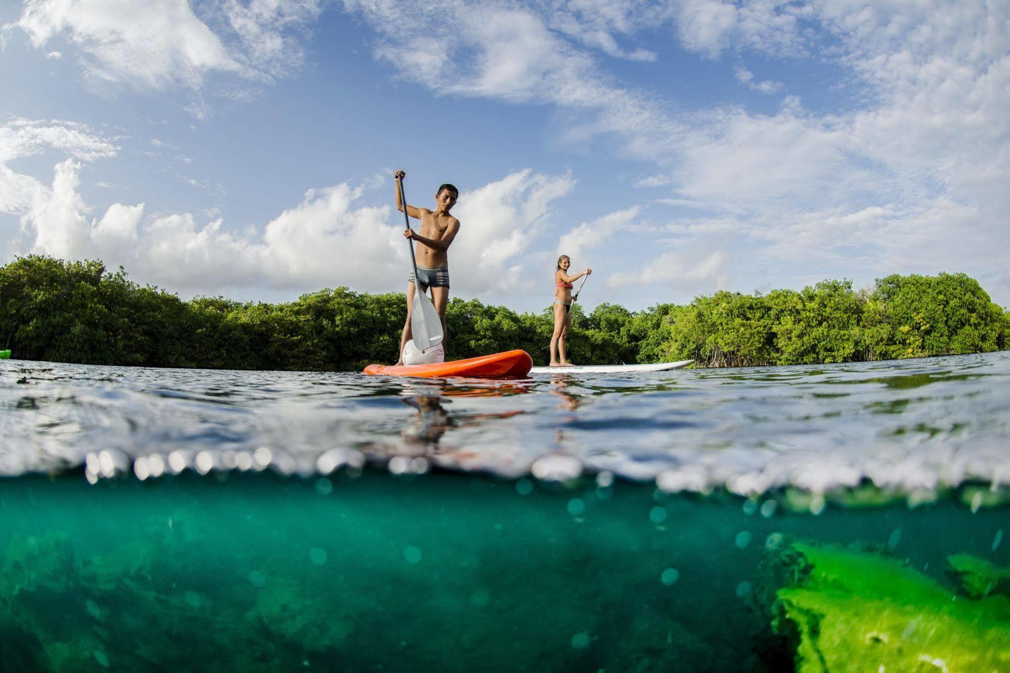 Manglex Eco Hotel Tulum Zewnętrze zdjęcie