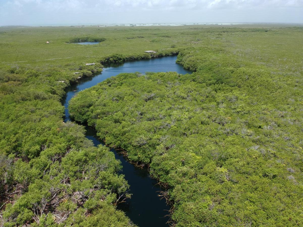 Manglex Eco Hotel Tulum Zewnętrze zdjęcie