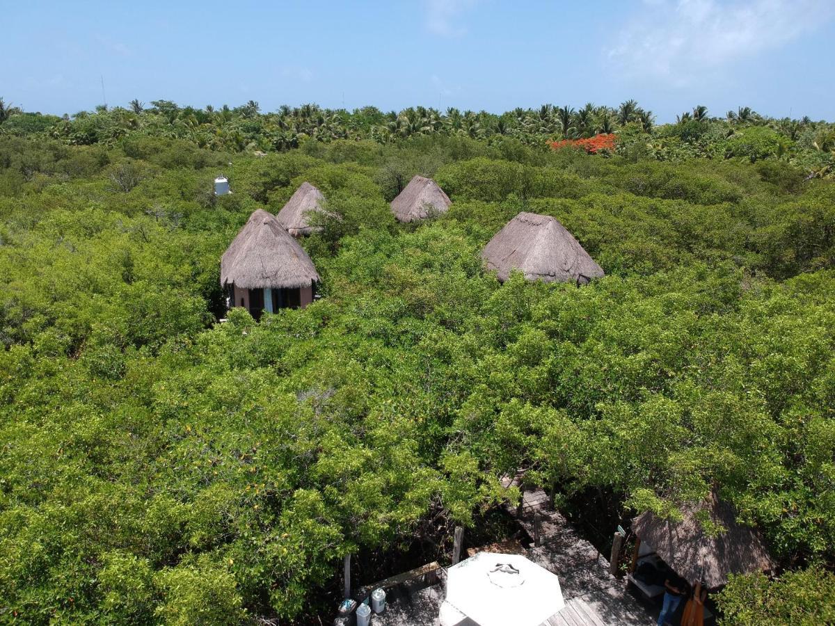 Manglex Eco Hotel Tulum Zewnętrze zdjęcie